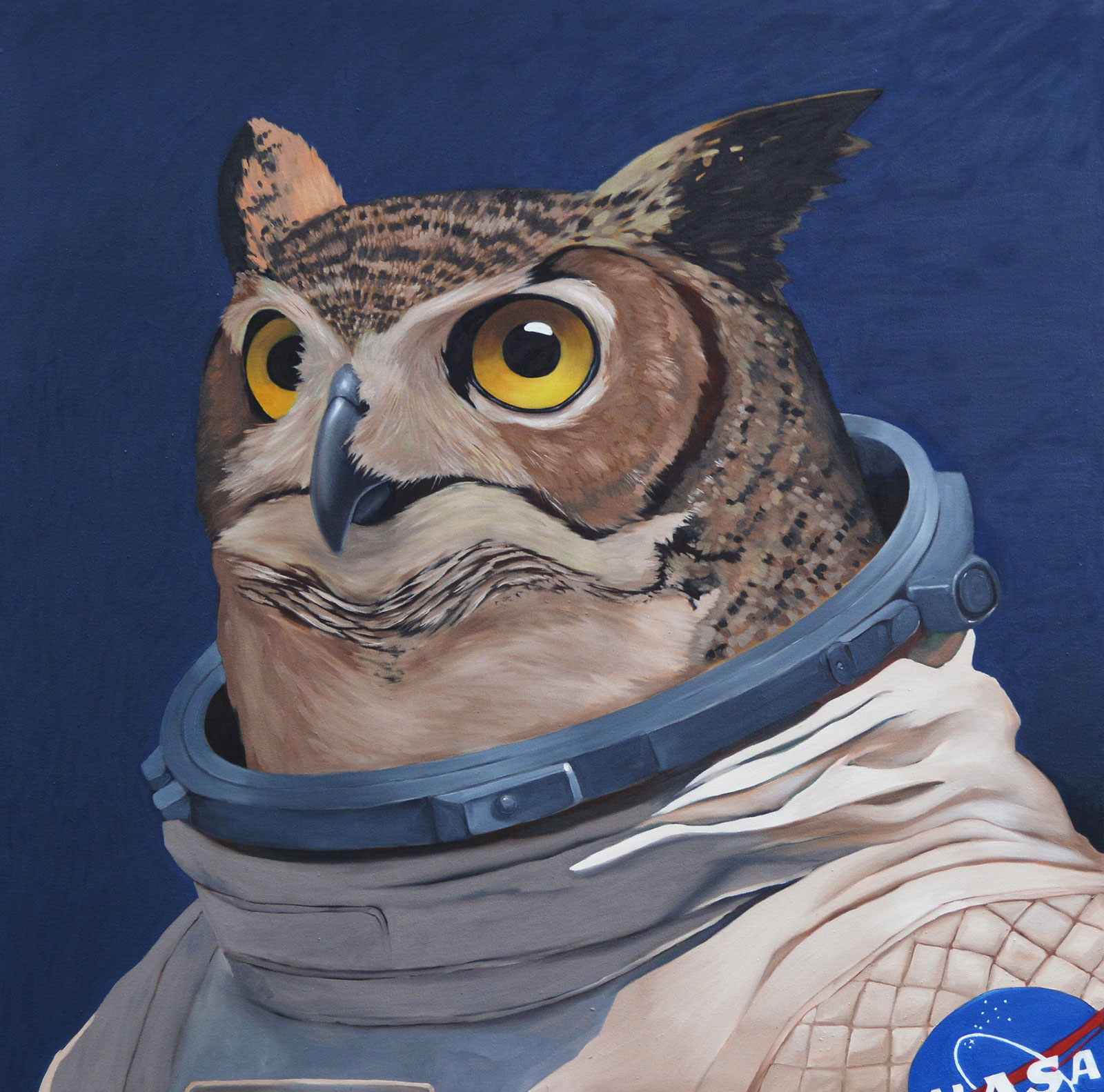 NASA OWL